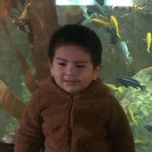 Meet your Posher, Govani